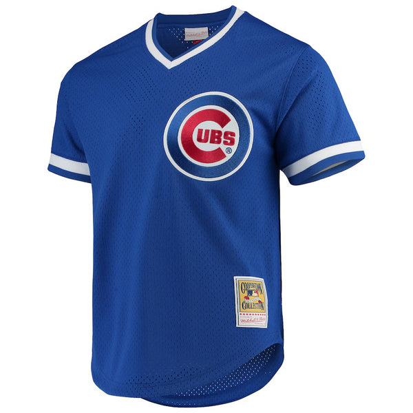 Chicago Cubs Blue Andre Dawson 8 Jersey