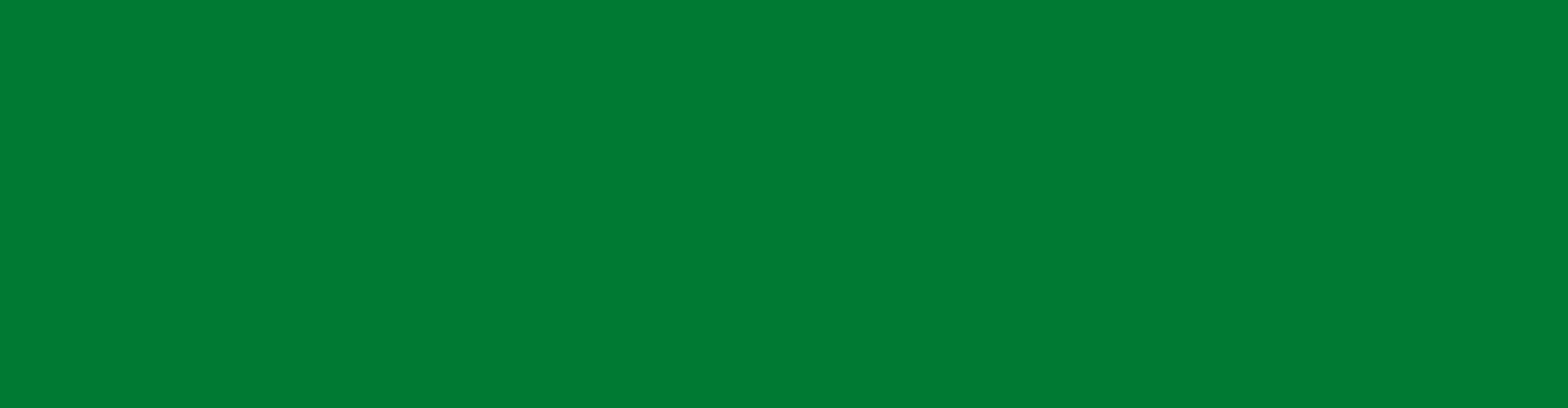 Boston Celtics
