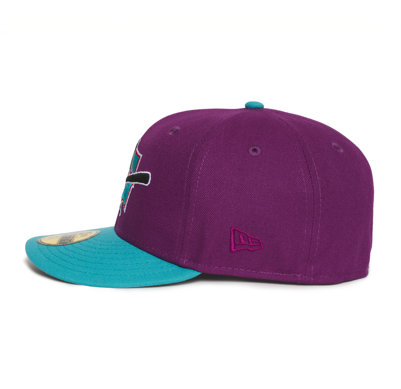 Greensboro Bats Grape and Teal SAL