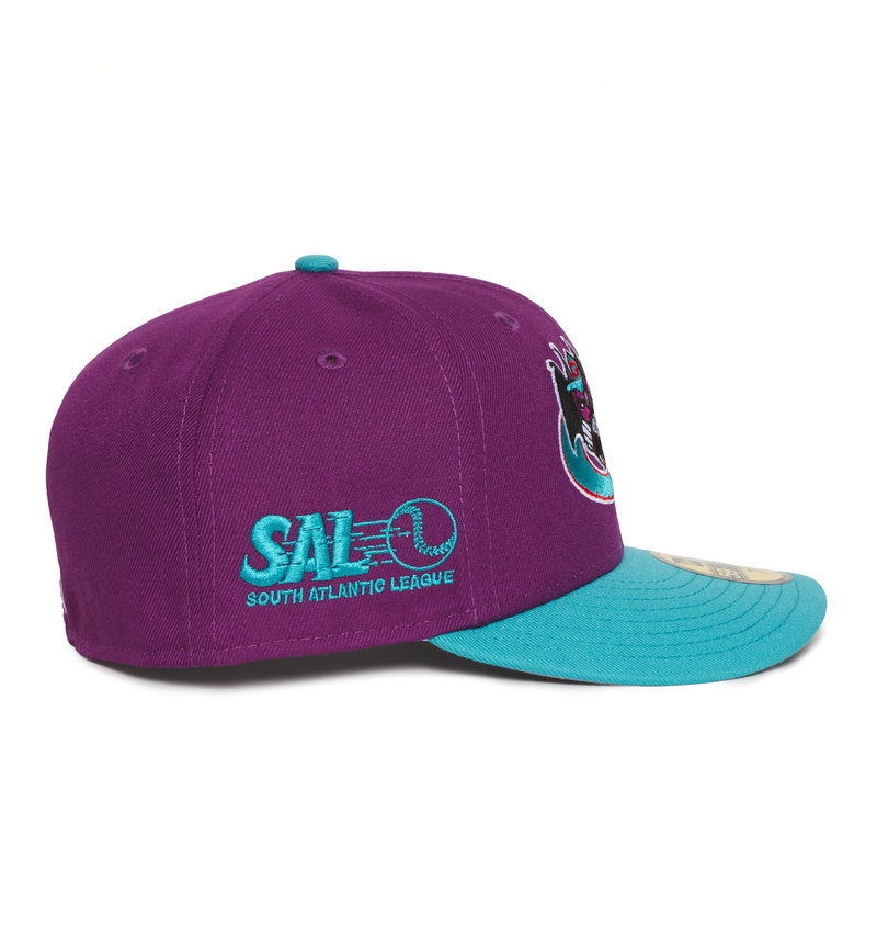 Greensboro Bats Grape and Teal SAL