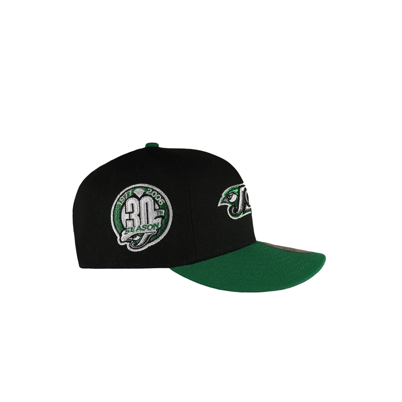 Toronto Blue Jays Black and Green 30Th