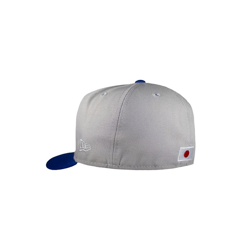 Los Angeles Dodgers Katakana Grey and Blue 40th