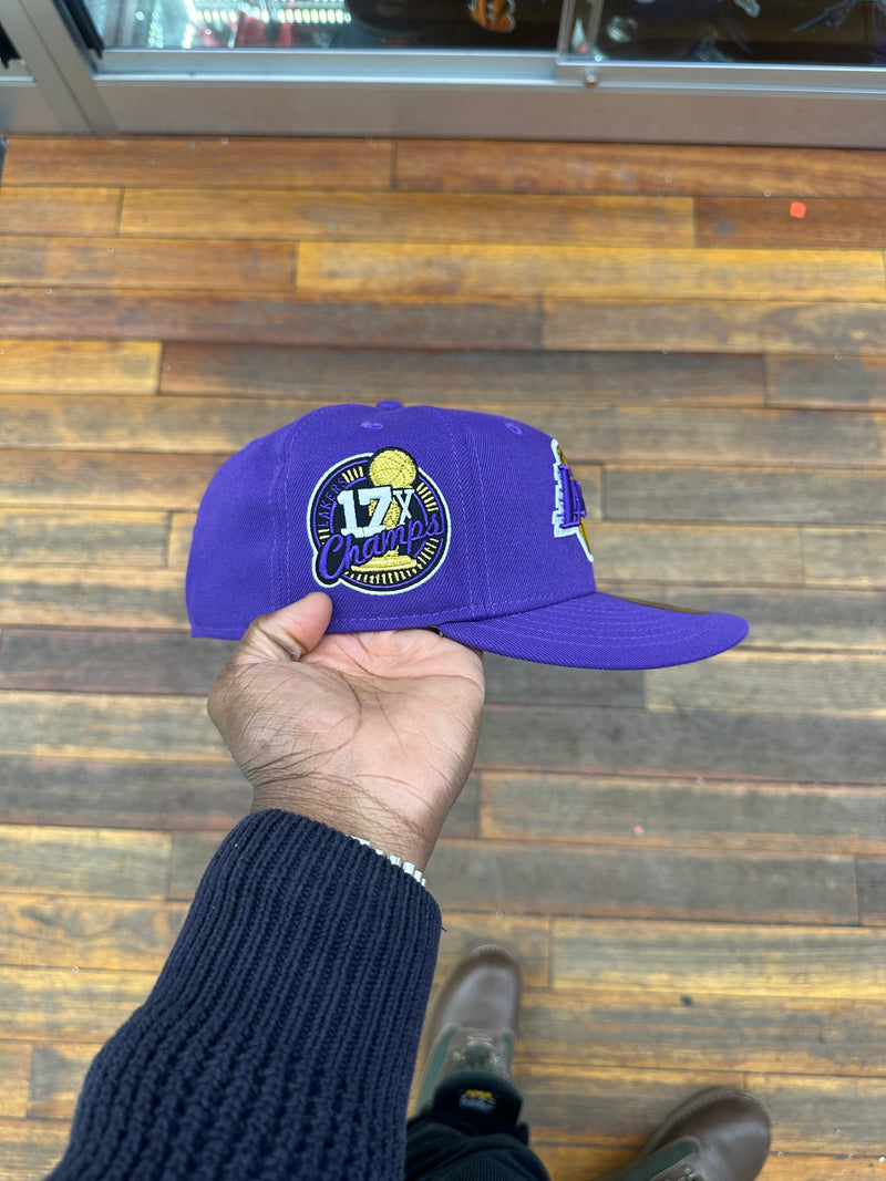 Los Angeles Lakers All Purple 17X