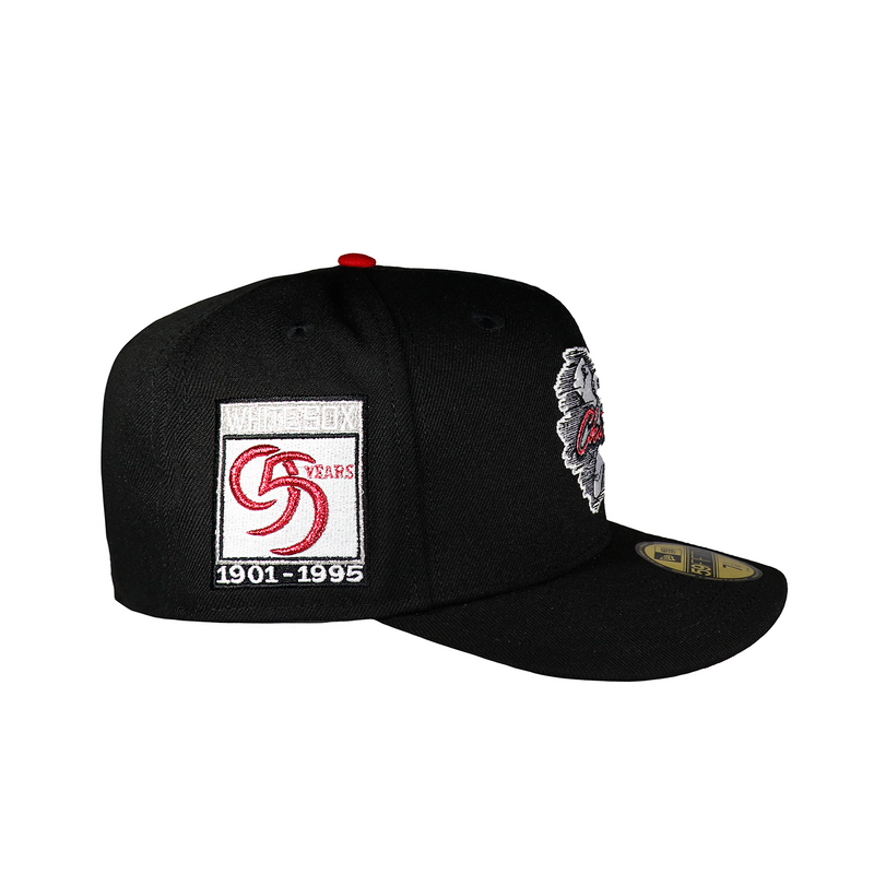 Chicago White Sox "Winged logo" All Black 95 Years