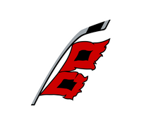 Carolina Hurricanes logo