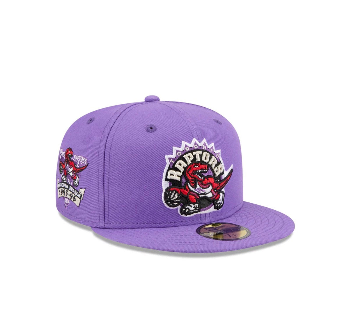 Toronto Raptors Purple 95-96 Inaugural Season Grey uv