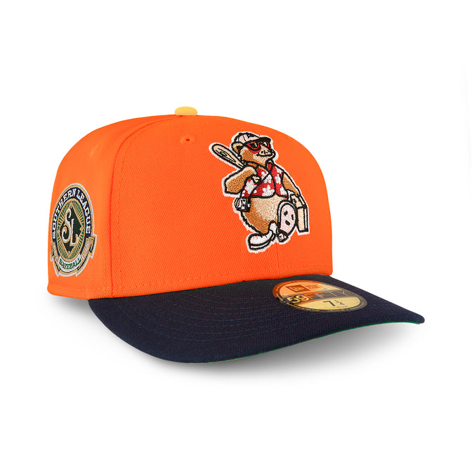 Asheville Tourists Orange & Navy Green uv