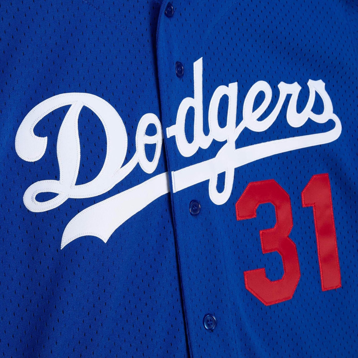 Amazon.com: Mike Piazza Los Angeles Dodgers #31 MLB Kids Youth 4-20 Blue  Cooperstown Player Jersey - Size 4 : Sports & Outdoors