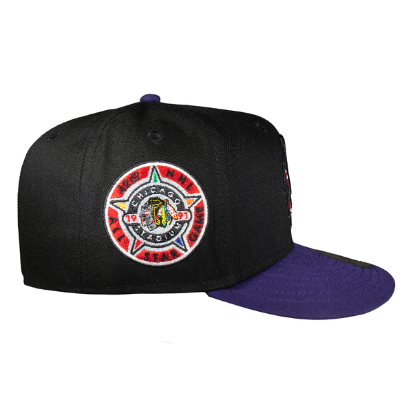 Chicago Black Hawks Black & Purple 91 ASG