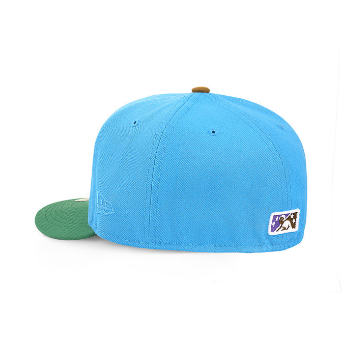 Shreveport Swamp Dragons Blue and Green – CAP USA NYC