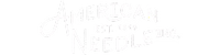 American Needle Snap Backs logo