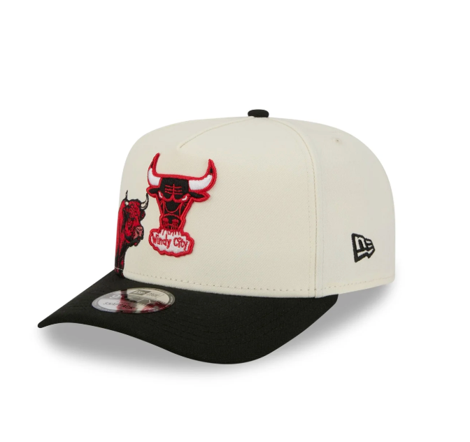 Chicago Bulls HWC Chrome White 9FIFTY A-Frame Snapback