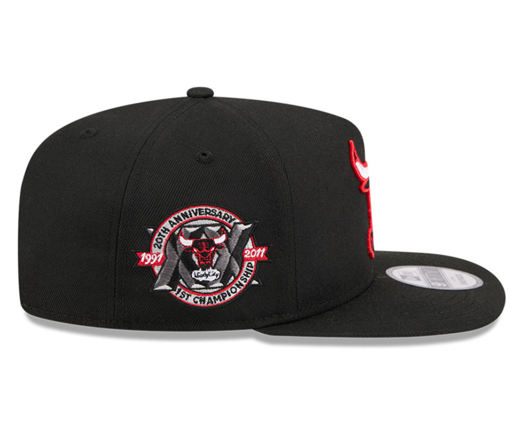 Chicago Bulls Black HWC AFrame 20Th Anniversary Snap Back