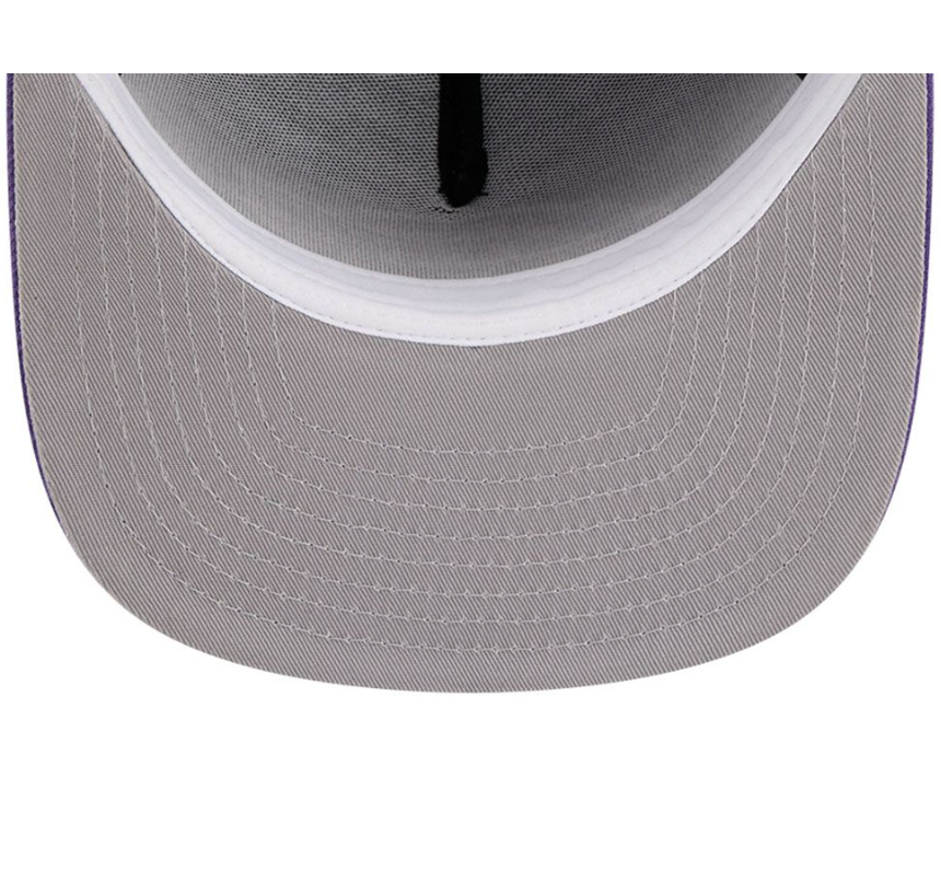 Los Angeles Lakers Purple HWC AFrame 50Th Anniversary Snap Back