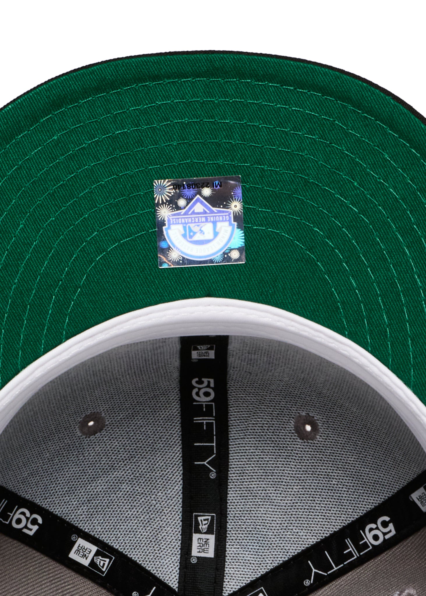 SHREVEPORT SWAMP DRAGONS Smoke Grey & Black Green uv