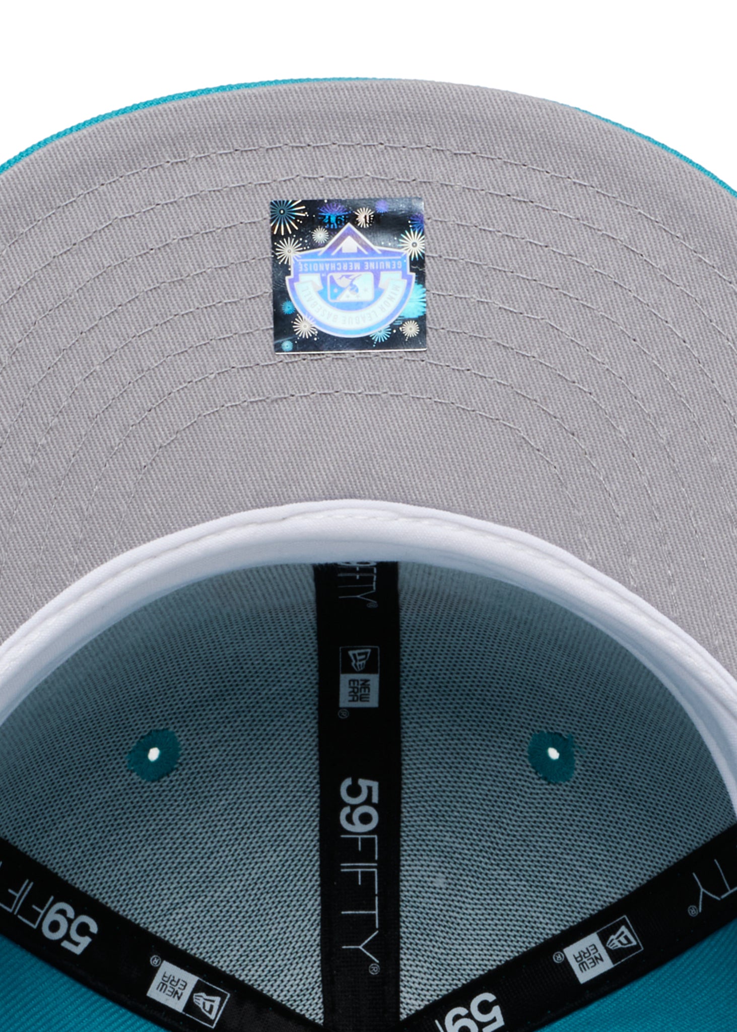 Winnipeg Whips All Turquoise MiLB